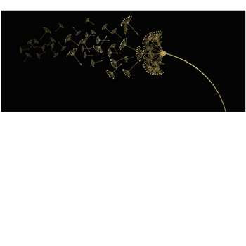a03c0563725c7f145fb33a8317582ac8