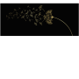 a03c0563725c7f145fb33a8317582ac8