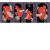 cdc5de5a12c6c542e197d93ccda2f5af