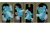 df2b7d7e19d721f941a82f1aec8006f2