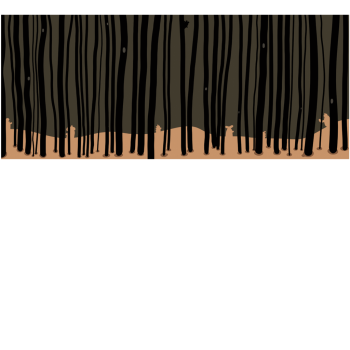 2e16833e35fd8678cdfd23a026560ceb