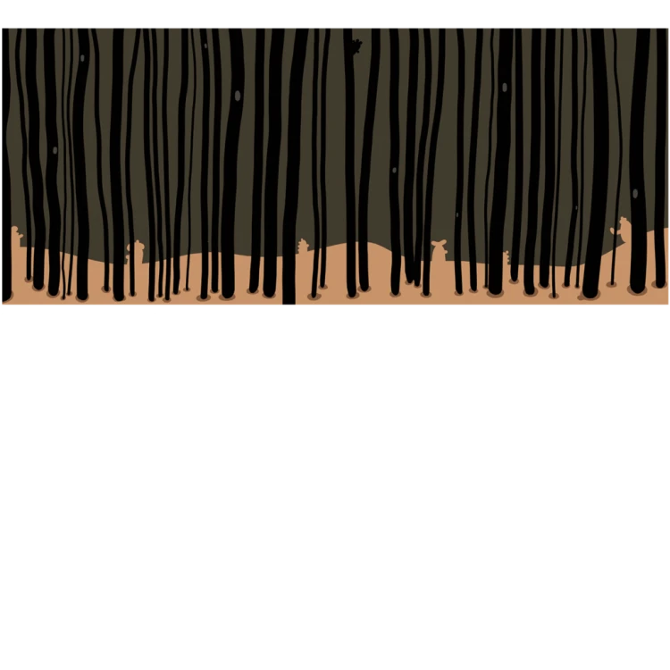 2e16833e35fd8678cdfd23a026560ceb