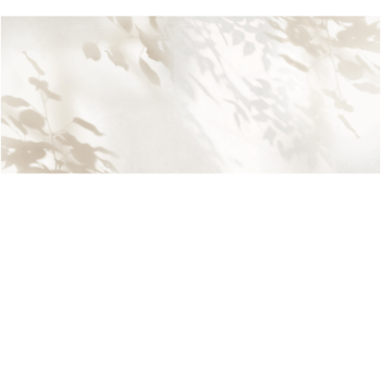 45572c3118fc4be25ec7dbe48482928e