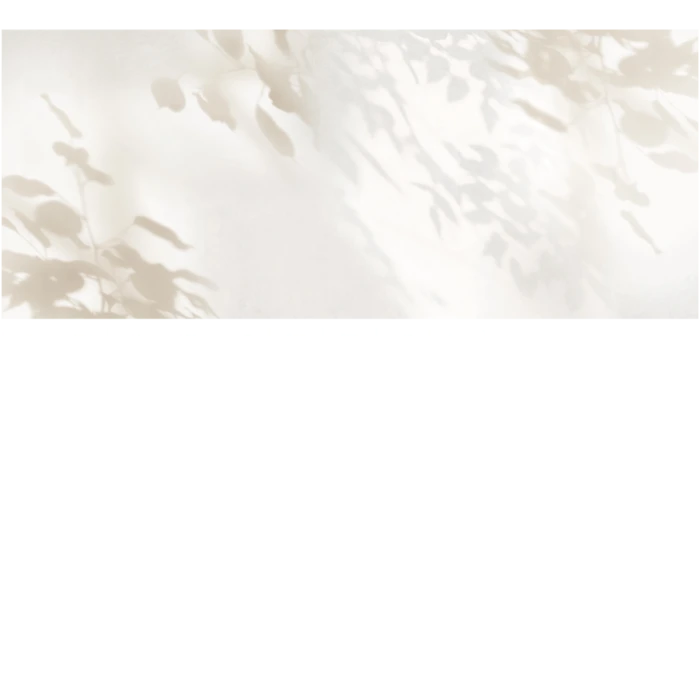45572c3118fc4be25ec7dbe48482928e