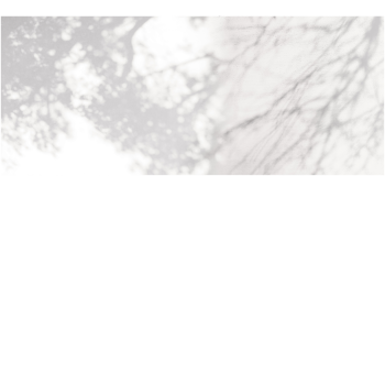 cdc1e3692001976fed3618b3d99146fc
