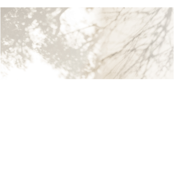 37ca72f497c0b4498736c6ef287da123