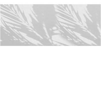 6456ef055815b8ae3368d7e83ec53432