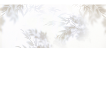 67b29de1f1d7c73f6a09893ff474ebe6