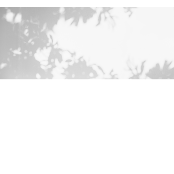 0a6704c7fbf51eb034df3db8630ce05f