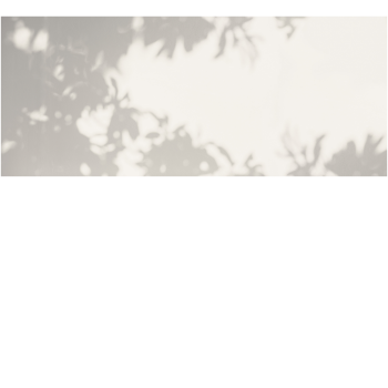 5e459a48a3ec27f917011c40e27a92f1
