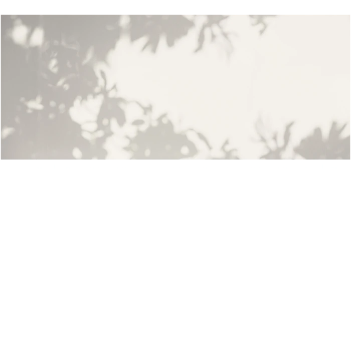 5e459a48a3ec27f917011c40e27a92f1