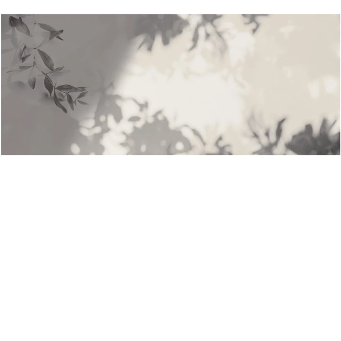 01ca7f899eab356dd09e5d065352a942