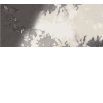 2178bc2d7ff4d85ceb6dde2bc47b5286