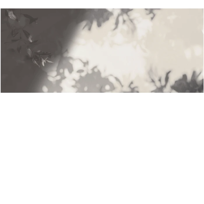 2178bc2d7ff4d85ceb6dde2bc47b5286