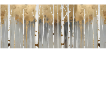 d1ac85c3d66c12dd34dd96acf996d893