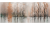 0a67dfe13b0fa202a0ec3a8a194a9c9b