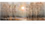 8c11b10534bac3d49f3faa284cdb8e97