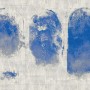 62a656e7b709c4daaafd2cddc9ee3c98