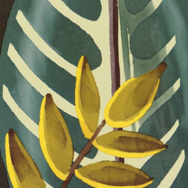 Elitis TP 302 03 Flower Power Alocasia - tapeta w retro liście