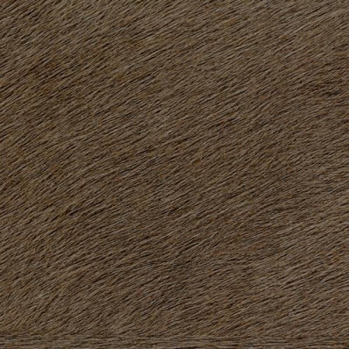 ade9a10f9ef0ad46ffef6a29c7ab010d