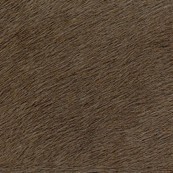 ade9a10f9ef0ad46ffef6a29c7ab010d