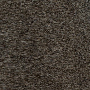 c482e6c6b9beb12ab0d635612bf58a9b