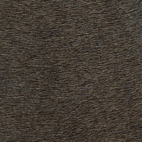 c482e6c6b9beb12ab0d635612bf58a9b