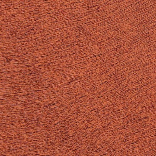 f3f324e053fdac0571851153dd15a319