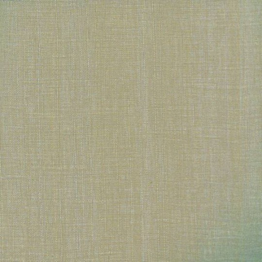 Elitis VP 620 28 Soie Végétale Soie - tapeta imitująca jedwab