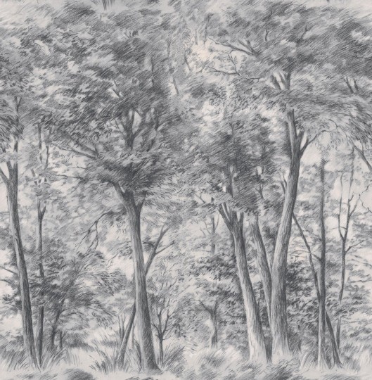 Boras Tapeter 9630W Studio Sketch of Trees Gray - mural rysunek lasu