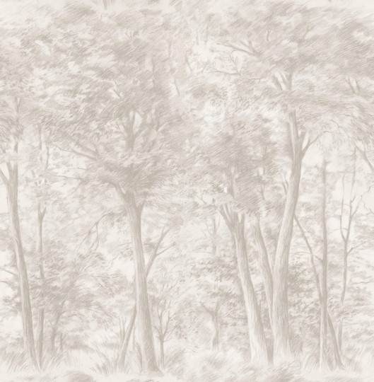 Boras Tapeter 9631W Studio Sketch of Trees Beige - mural rysunek lasu