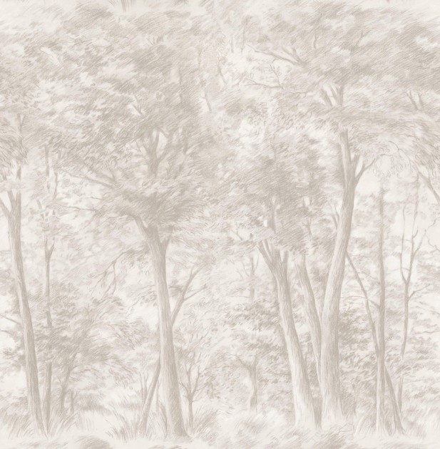 Boras Tapeter 9631W Studio Sketch of Trees Beige - mural rysunek lasu