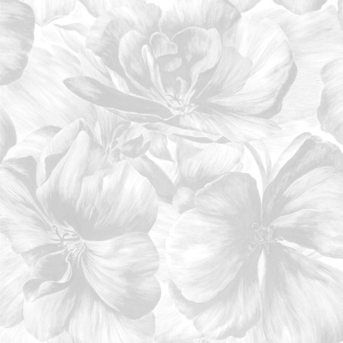 dafb31c285b42ce1ff0d397541c09843