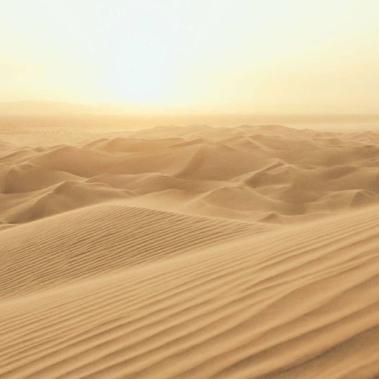 Galerie G78423 Atmosphere - mural w pustynny krajobraz