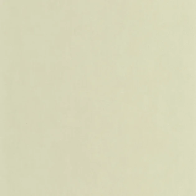 Casadeco 201007171 Nest Vert The - tapeta imitująca ścianę wapienną