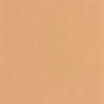 e6f79286ca310b266ad86a314d60d7b0