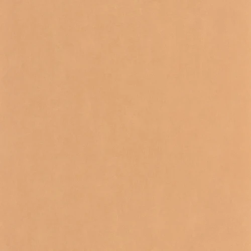 e6f79286ca310b266ad86a314d60d7b0