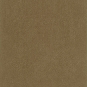 b2c5393b80fcb7c71e07605f2f400926