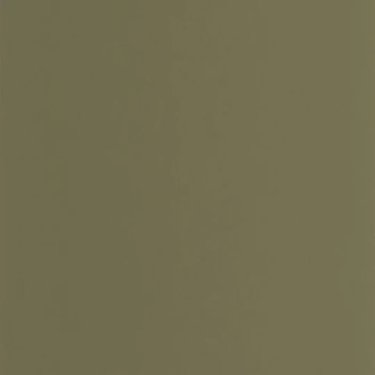Casadeco 200337606 Annees Folles Pigments Vert Kaki - tapeta matowa jednolita