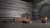 e86584d95d0f81ac4997562843088a7a