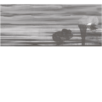 b7a0ceab353ab44d3970c9d725e13eca