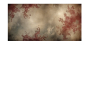 cfae2ad1927a477617cce72e08f9b688