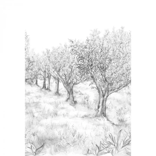 Casamance 75631324 Panoramas 2 Lauris Noir/blanc - mural strukturalny w drzewa