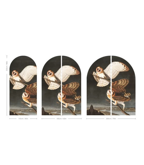 Wallcolors ARCH-9145 Arch Owls - mural łuk w sowy