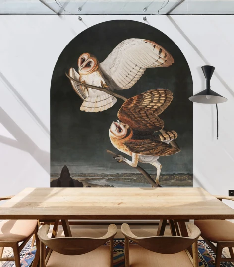 Wallcolors ARCH-9145 Arch Owls - mural łuk w sowy