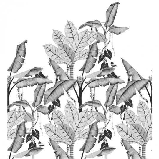 Casamance 74992038 Panoramas Jangala Noir/blanc - mural w egzotyczne rośliny