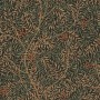 d376ffa55f8f4695d1c66ded0e22d421