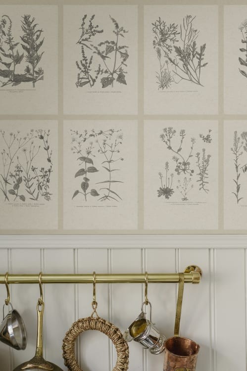 Sandberg S10509 Tradgarden Botanica Graphite - mural w kafelki ozdobione botanicznymi motywami