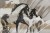 ccd580a6e461268664d2f48ca0609776