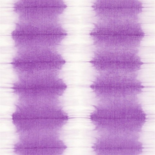 77d00375c5ad94e3b1dcda356fa7c29c